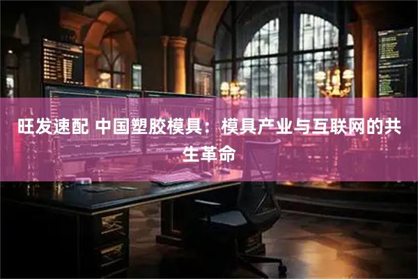 旺发速配 中国塑胶模具：模具产业与互联网的共生革命
